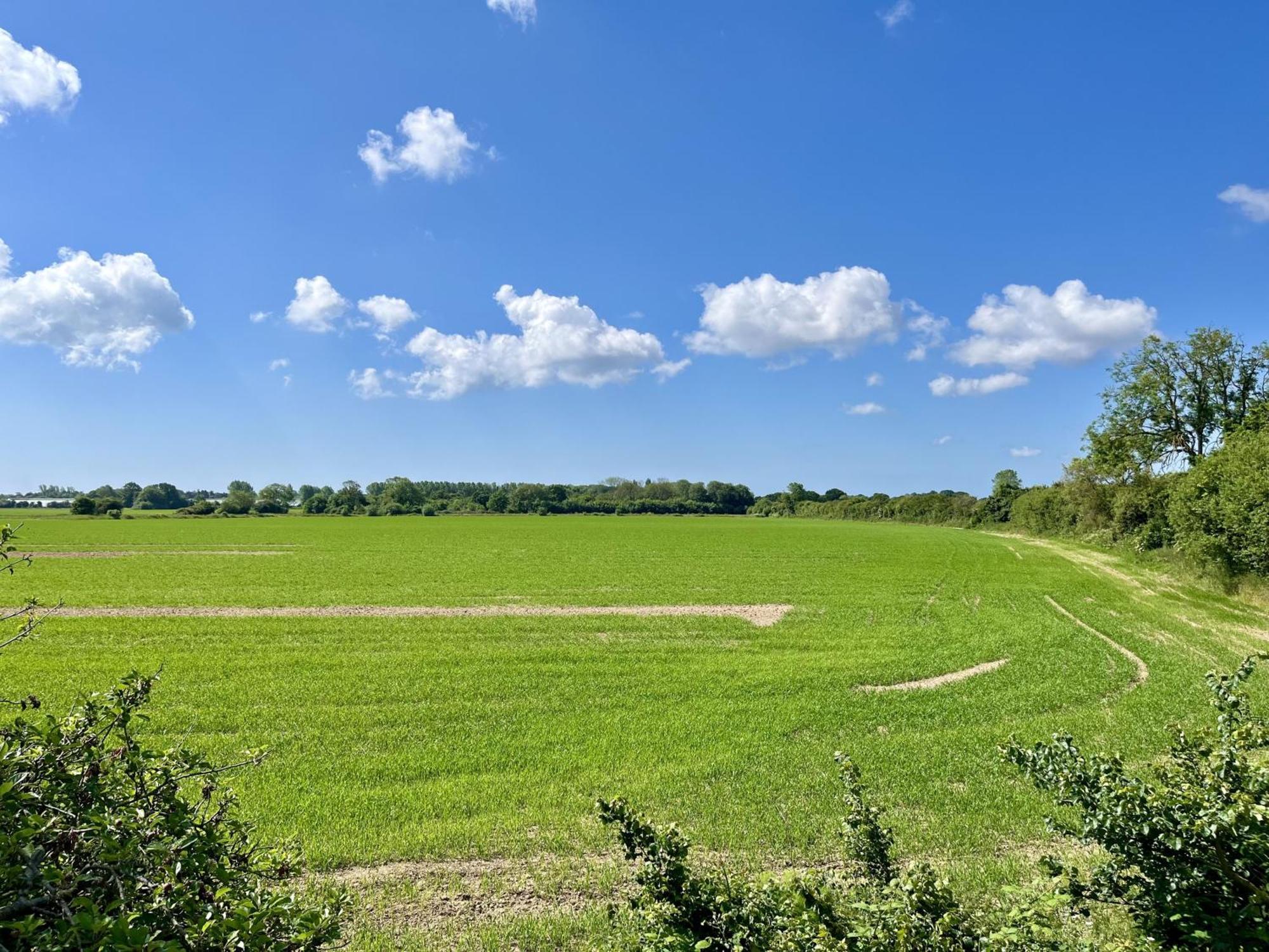 Apple Tree Barn By Inspire Stays Slindon  Eksteriør bilde